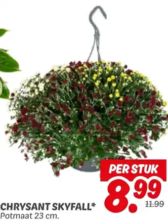 Dekamarkt Chrysant skyfall aanbieding