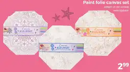 Trekpleister Paint folie canvas set aanbieding