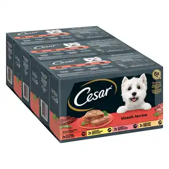 Zooplus 96x150g Cesar Classic Terrine Hondenvoer aanbieding