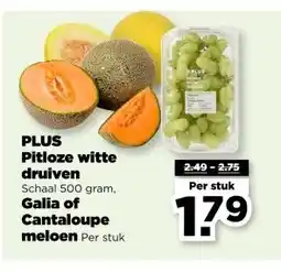 PLUS PLUS Pitloze witte druiven, Galia of Cantaloupe meloen aanbieding