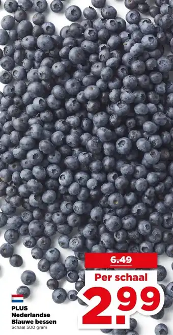 PLUS PLUS Nederlandse Blauwe bessen aanbieding