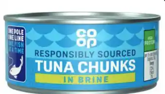 Budget Food Tonijn Stukken in Water aanbieding