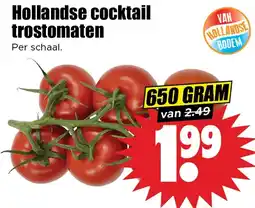 Dirk Hollandse cocktail trostomaten aanbieding