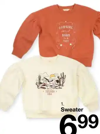 Zeeman Sweater aanbieding