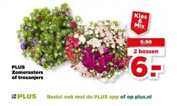 PLUS PLUS Zomerasters of trosanjers aanbieding