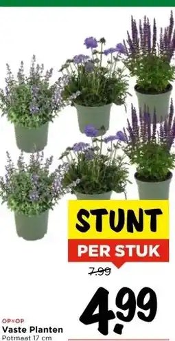 Vomar Voordeelmarkt Vaste Planten aanbieding