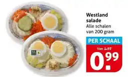 Hoogvliet Westland salade aanbieding