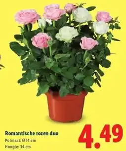 Lidl Romantische rozen duo aanbieding