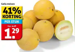 Hoogvliet Galia meloen aanbieding