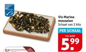 Hoogvliet Vis Marine mosselen aanbieding