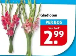 Hoogvliet Gladiolen aanbieding