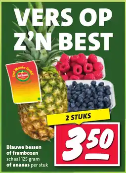 Nettorama Blauwe bessen of frambozen of ananas per stuk aanbieding