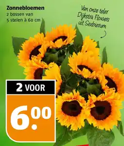 Poiesz Zonnebloemen aanbieding