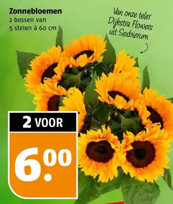 Poiesz Zonnebloemen aanbieding