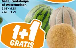 Poiesz Galia, cantaloupe of watermeloen aanbieding
