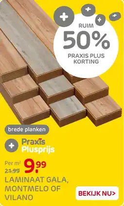 Praxis Laminaat gala, montmelo of vilano aanbieding