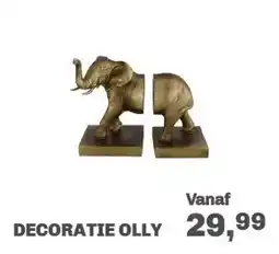 Trendhopper Decoratie Olly aanbieding