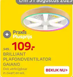 Praxis Brilliant plafondventilator gaiano aanbieding