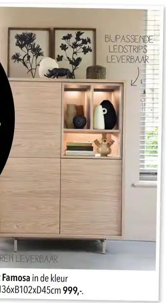 Pronto wonen Opbergkast Famosa aanbieding