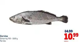 Makro Corvina aanbieding