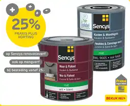 Praxis Op sencys renovatieverf aanbieding