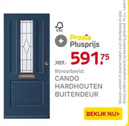 Praxis Cando hardhouten buitendeur aanbieding