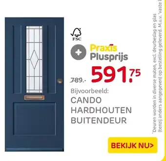 Praxis Cando hardhouten buitendeur aanbieding