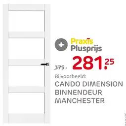 Praxis Cando dimension binnendeur manchester aanbieding