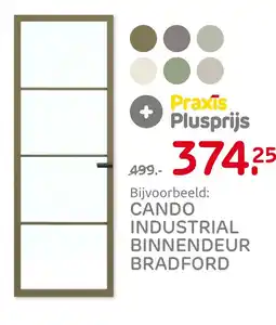 Praxis Cando industrial binnendeur bradford aanbieding