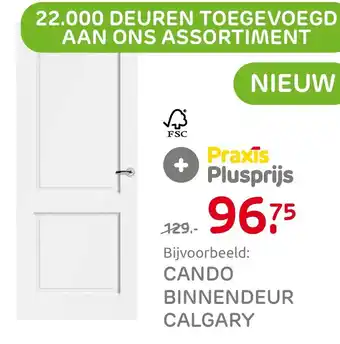 Praxis Cando binnendeur calgary aanbieding
