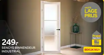 Praxis Sencys binnendeur industrial aanbieding