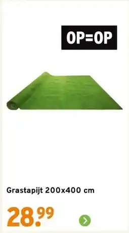 GAMMA Grastapijt 200x400 cm aanbieding