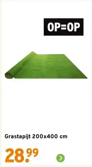 GAMMA Grastapijt 200x400 cm aanbieding