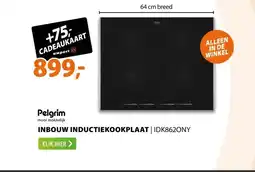 Expert Pelgrim IDK862ONY aanbieding