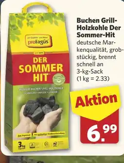 Combi Buchen Grill- Holzkohle Der Sommer-Hit aanbieding
