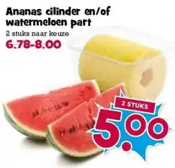 Boon`s Markt Ananas cilinder en/of watermeloen part aanbieding