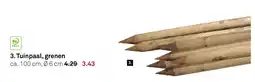 Karwei Tuinpaal, grenen aanbieding