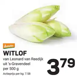 Ekoplaza Witlof aanbieding
