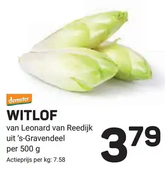 Ekoplaza Witlof aanbieding