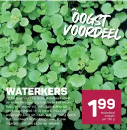 Ekoplaza Waterkers aanbieding