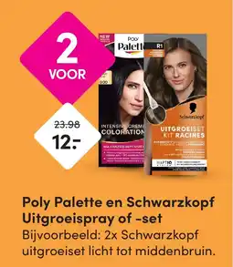 DA Poly Palette en Schwarzkopf Uitgroeispray of set aanbieding