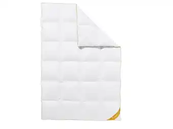 Lidl Balette deLuxe ganzendons cassette dekbed Gold Edition extra warm aanbieding