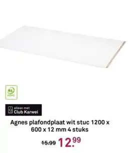 Karwei Agnes plafondplaat wit stuc aanbieding