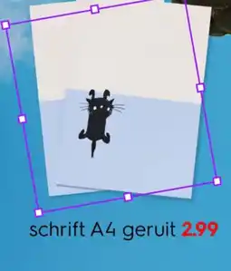 HEMA schrift A4 geruit aanbieding
