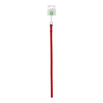 Van Cranenbroek Halsband nylon rood 10mm 35cm aanbieding