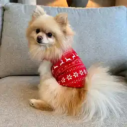 Van Cranenbroek Trui Hond Kerst Nordic Rood aanbieding