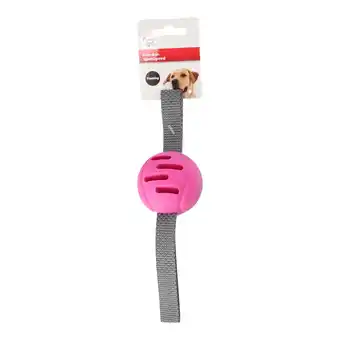 Van Cranenbroek Hondenspeelgoed Xila foam bal fuchsia 29x6,5x6,5cm FP aanbieding