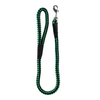 Van Cranenbroek Looplijn nylon groen 15mm 75cm aanbieding