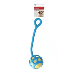 Van Cranenbroek Hondenspeelgoed TPR flex bal 35cm FP aanbieding