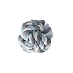 Van Cranenbroek Hondenspeelgoed bal 15cm FP aanbieding